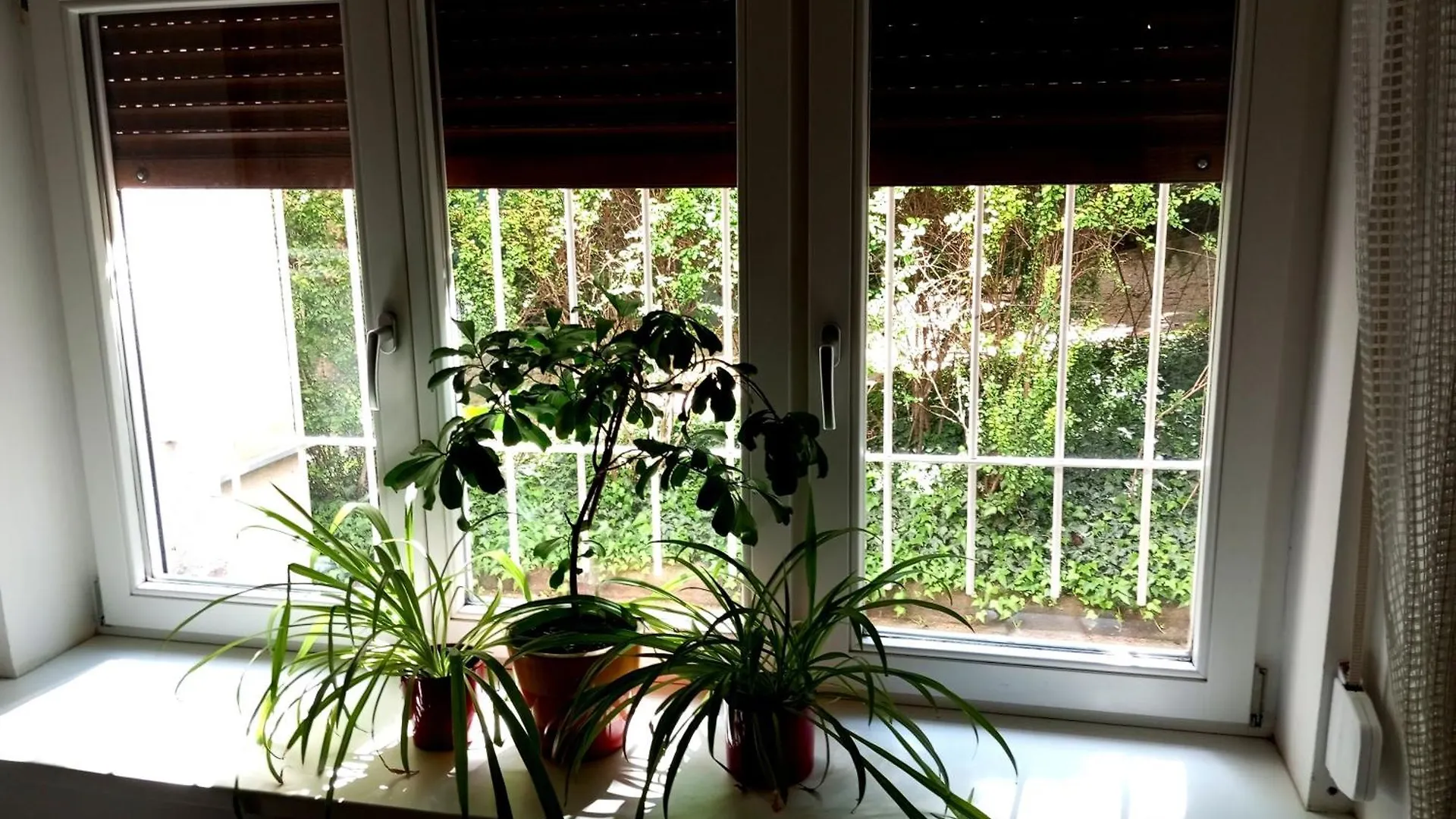 Vinohrady Garden Apartment Praha